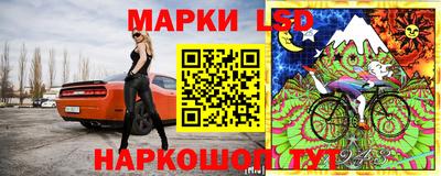 шишки Абинск