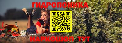 шишки Абинск