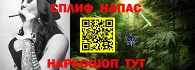 прущие грибы Азнакаево