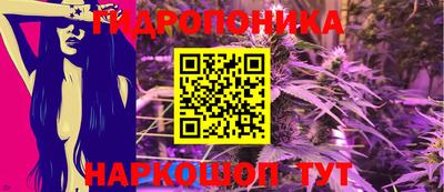 шишки Абинск