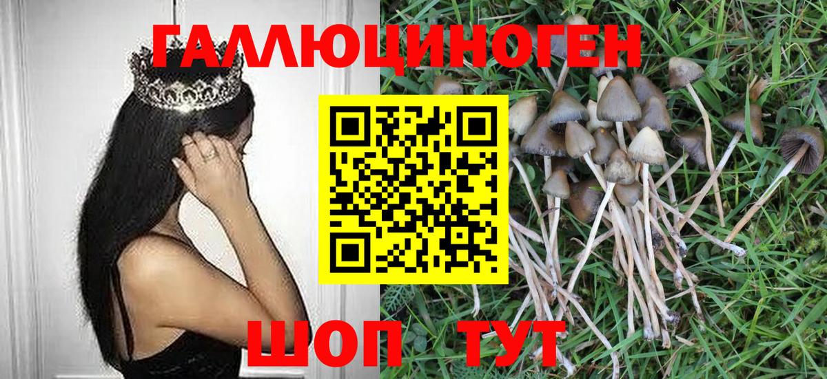 Галлюциногенные грибы GOLDEN TEACHER Абинск