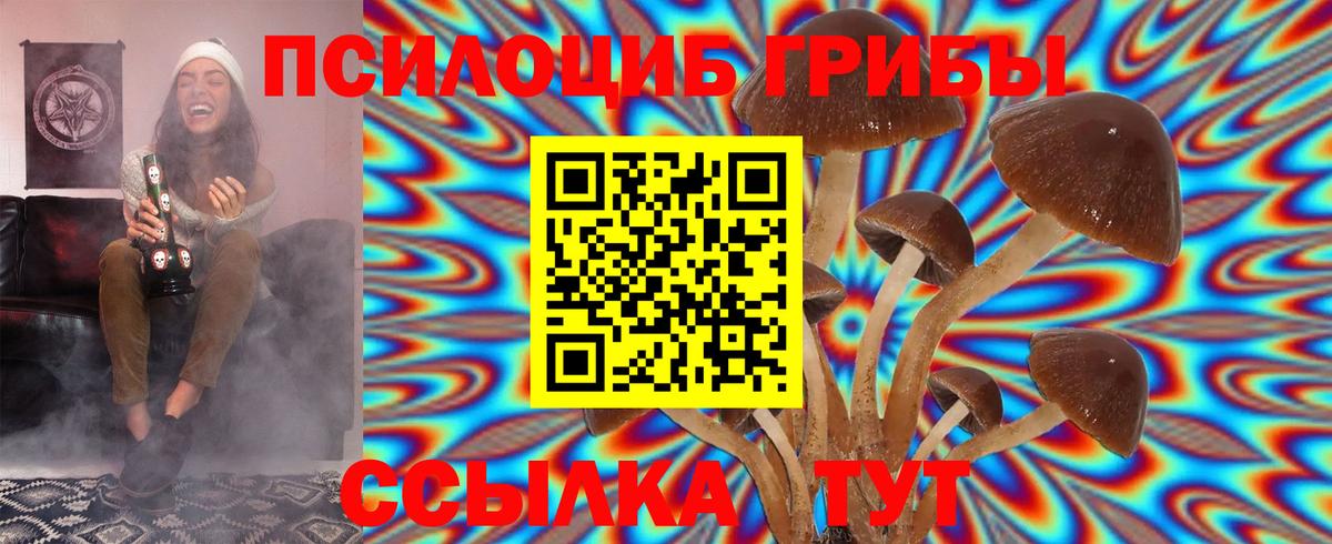 Галлюциногенные грибы прущие грибы  Вход с VPN  Абинск 